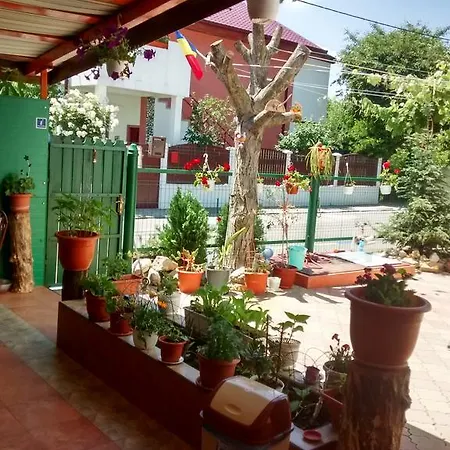 Guest house Casa Carlo 3*